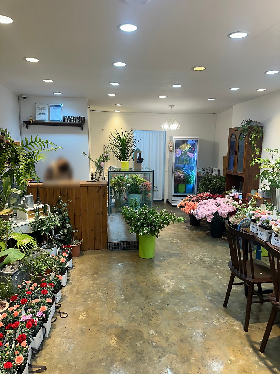 에레즈플라워 이미지