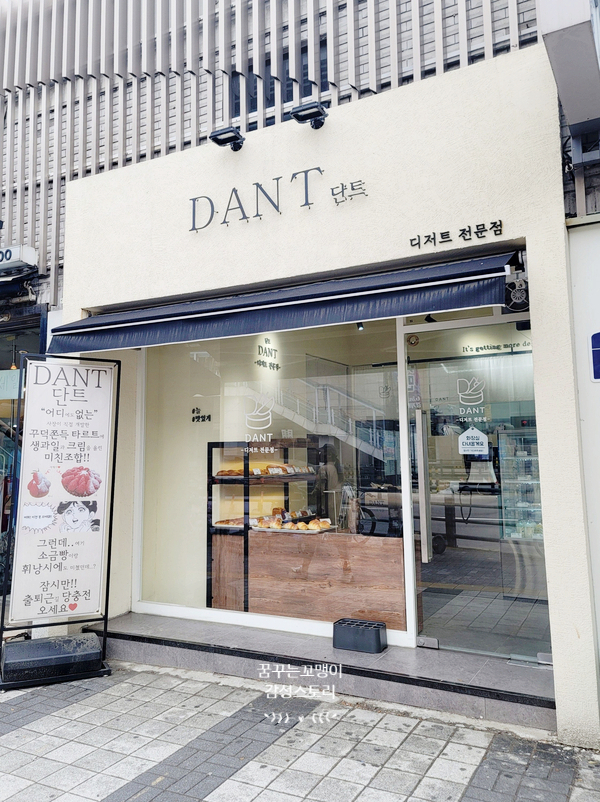 단트(DANT) 이미지