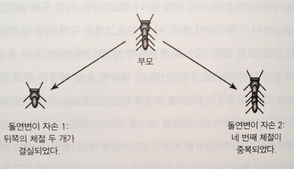 아스컴퓨터 이미지