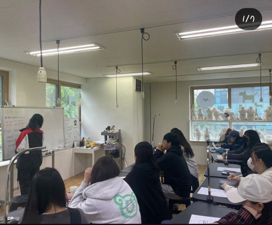 시흥탑애견미용학원 이미지