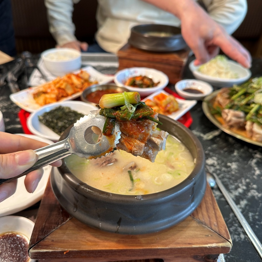 대양카 이미지