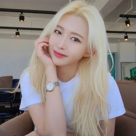 자인헤어# 이미지