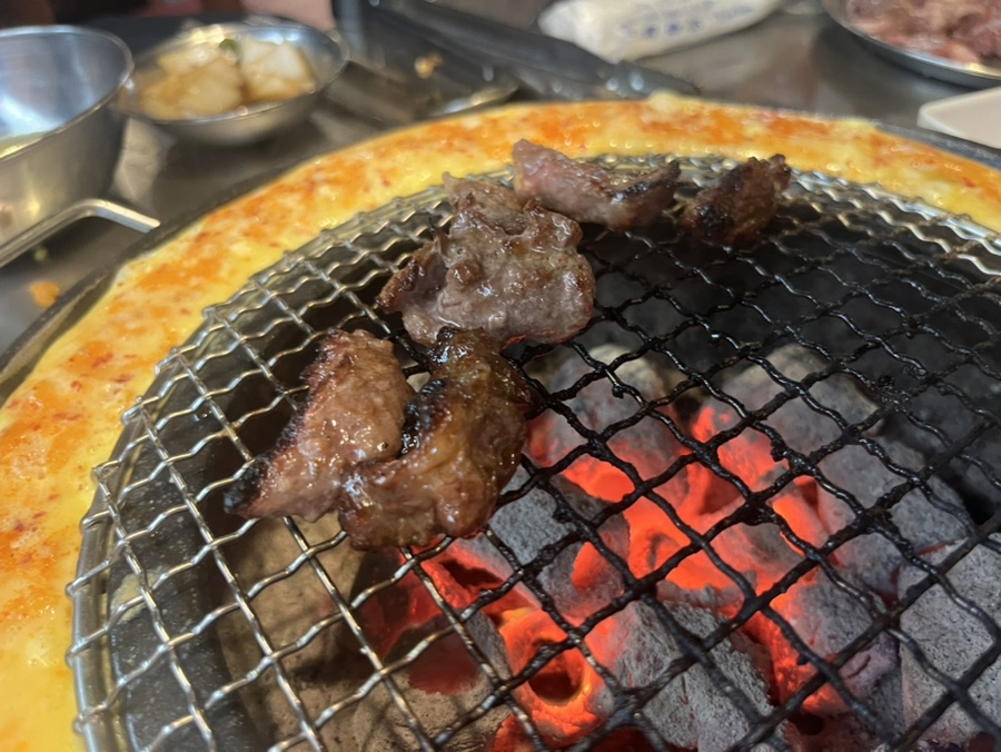 신마포갈매기 이미지