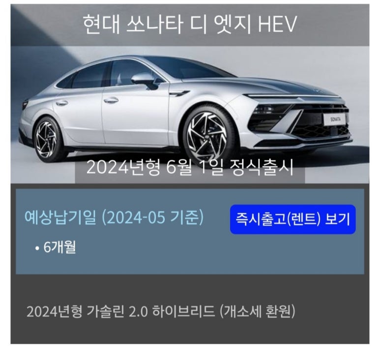 디니타 이미지