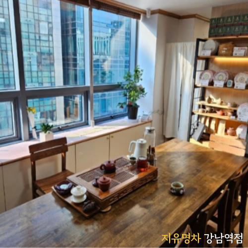 지유명차강남 이미지