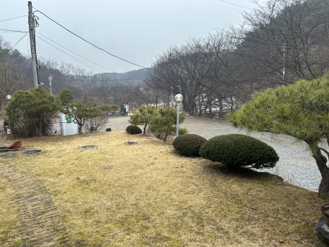 삼강식물원 이미지
