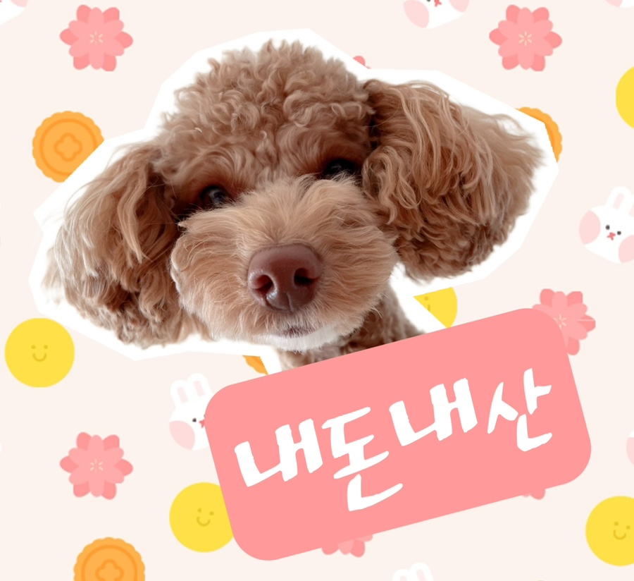원조조방낙지4공단점 이미지