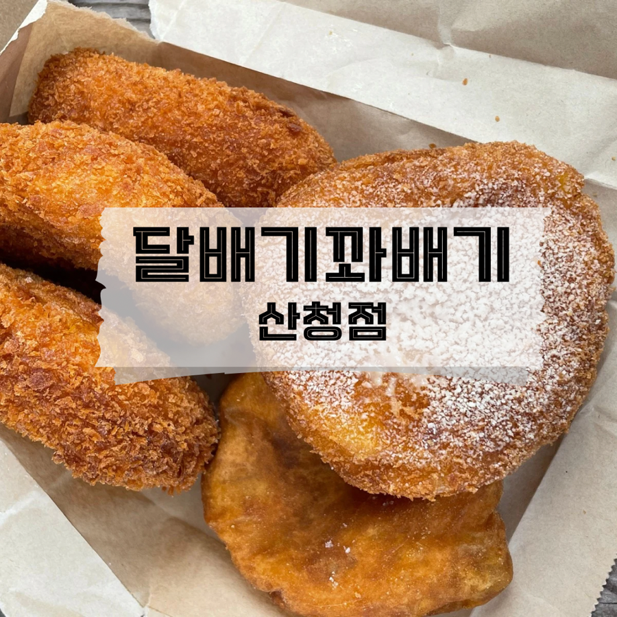 달배기꽈배기 이미지