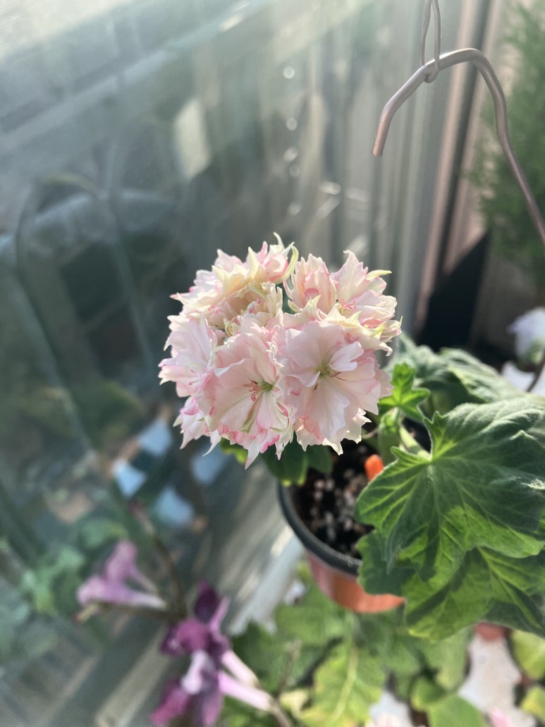오*식 이미지