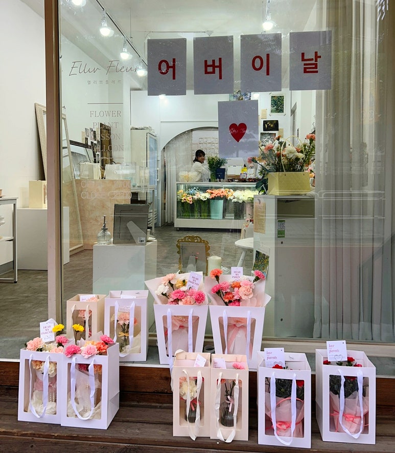 엘리브플레르 이미지