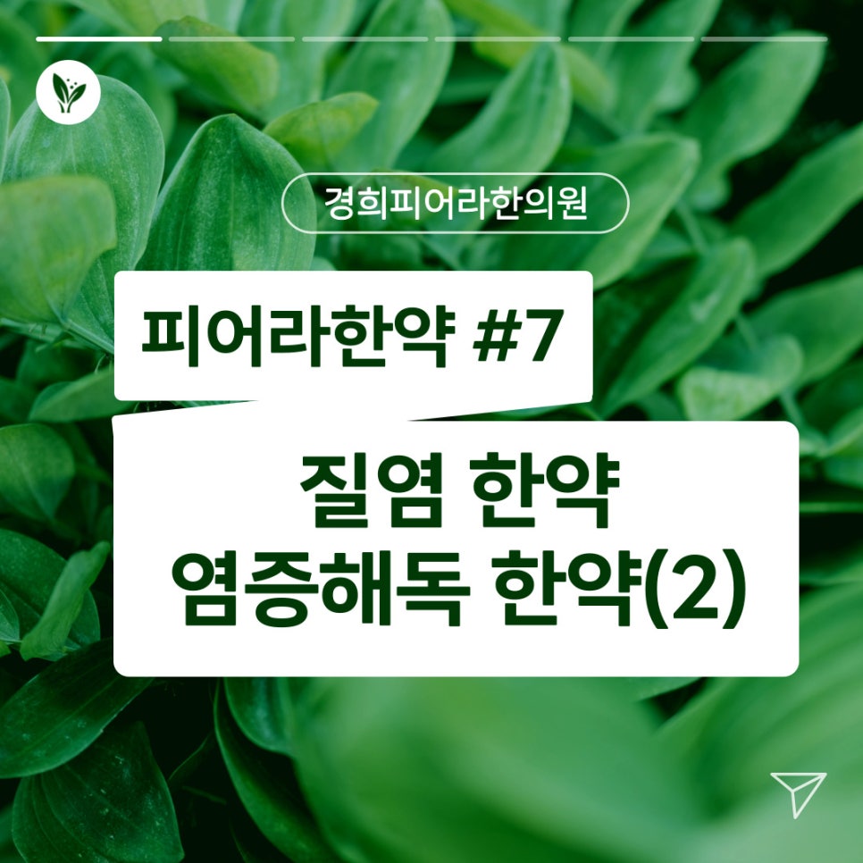 경희피어라한의원 이미지