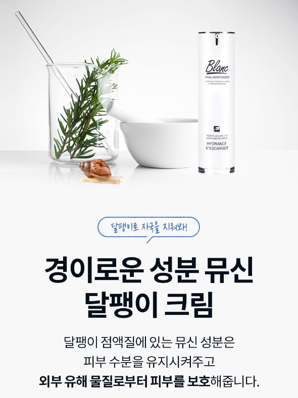 크림디자인 이미지