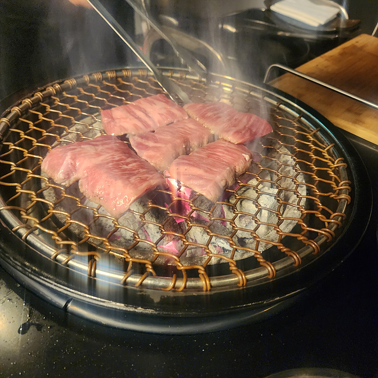 묘우.묘우 이미지