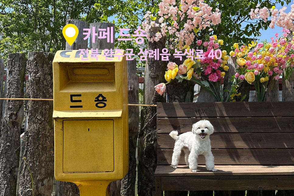 카페드숑 이미지