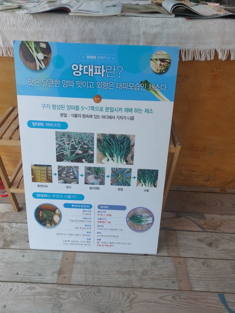 물조리자리 이미지