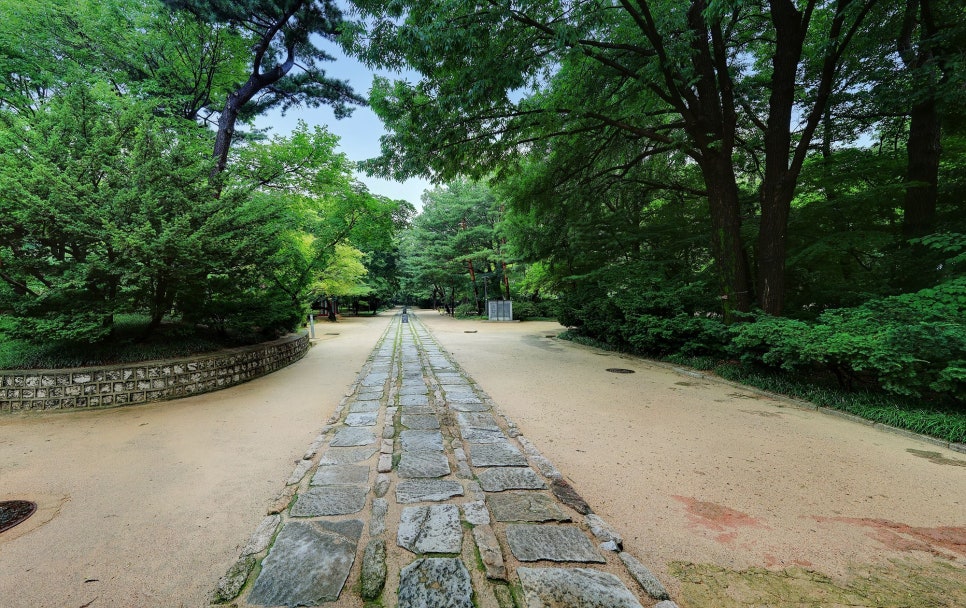 삼지건축 이미지