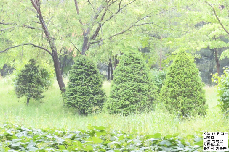 우산커피 이미지