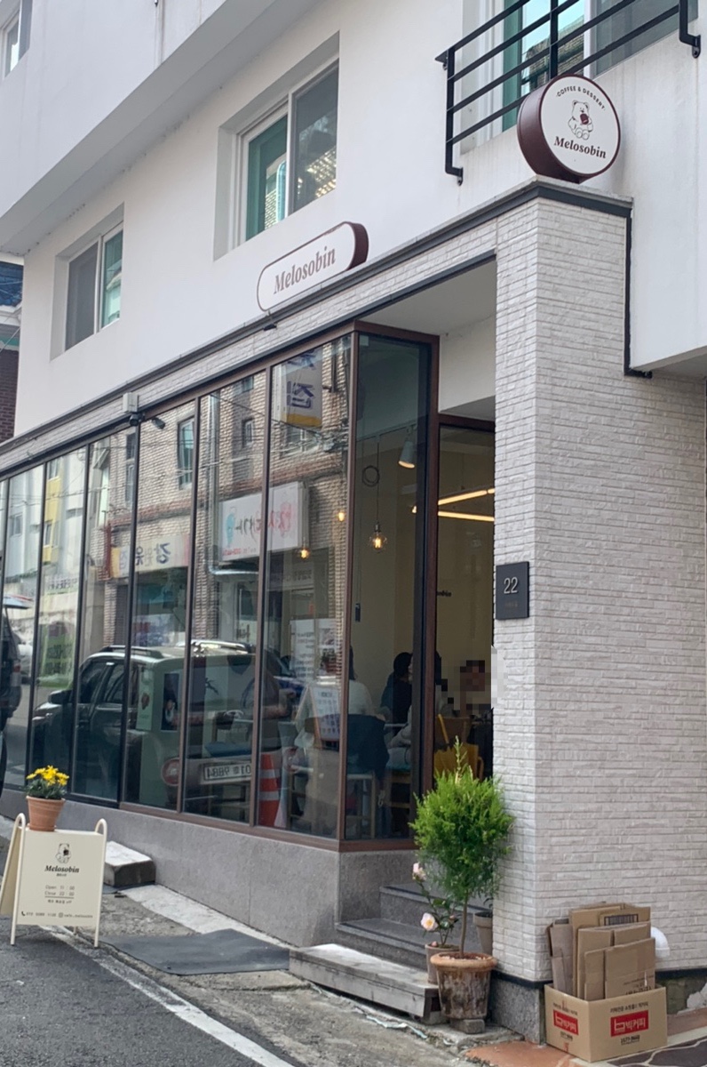 멜로소빈 이미지