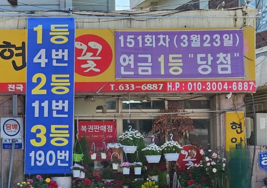 로또플라워 이미지