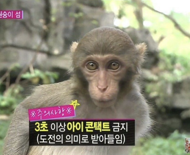 금호미용실 이미지