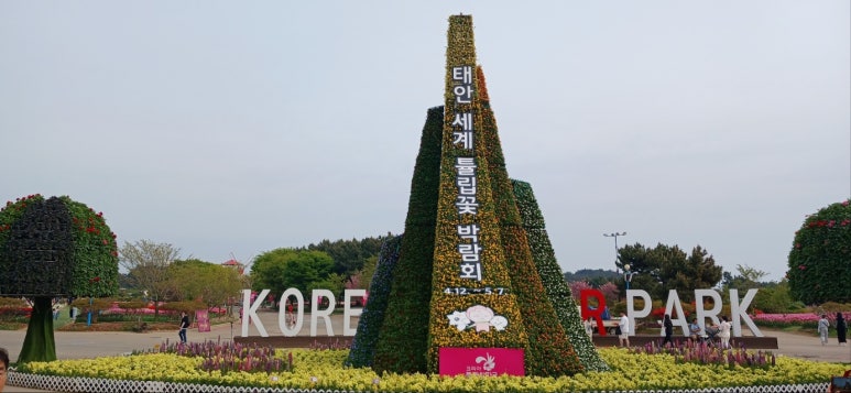 방포비치 이미지