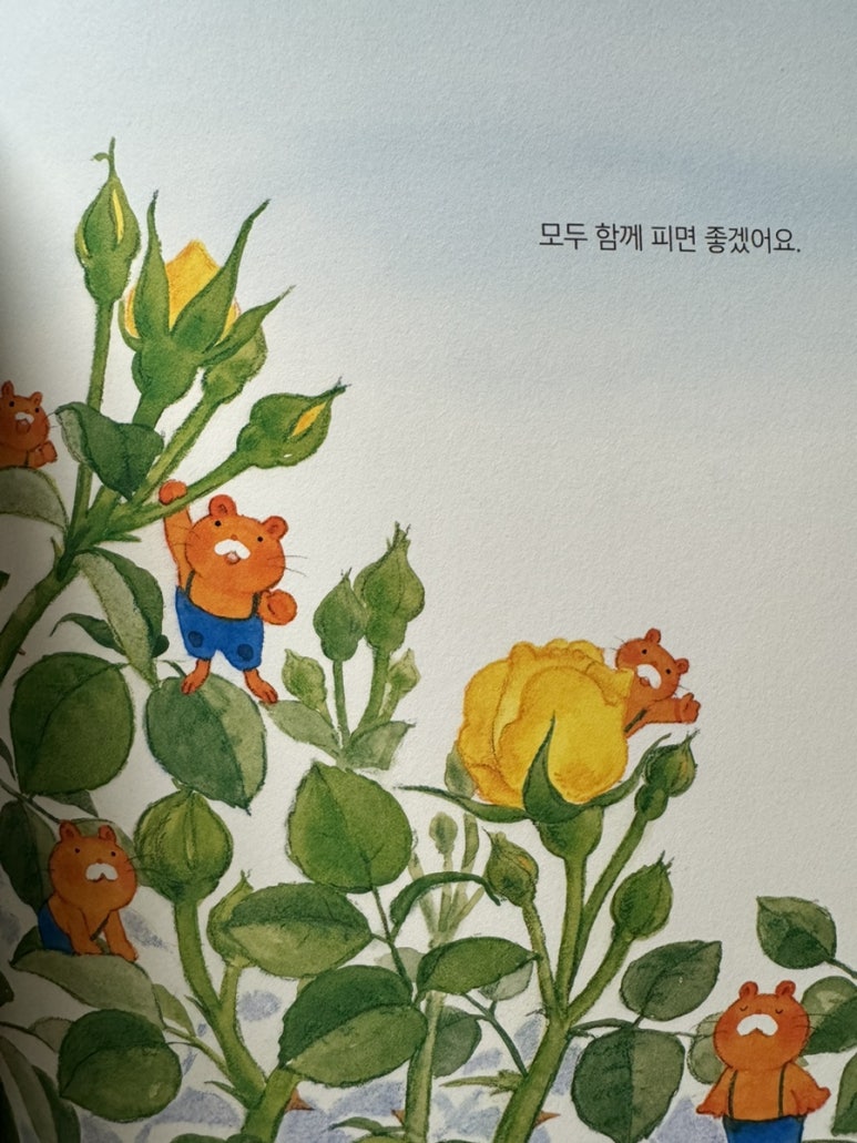 (주)파닥파닥 이미지