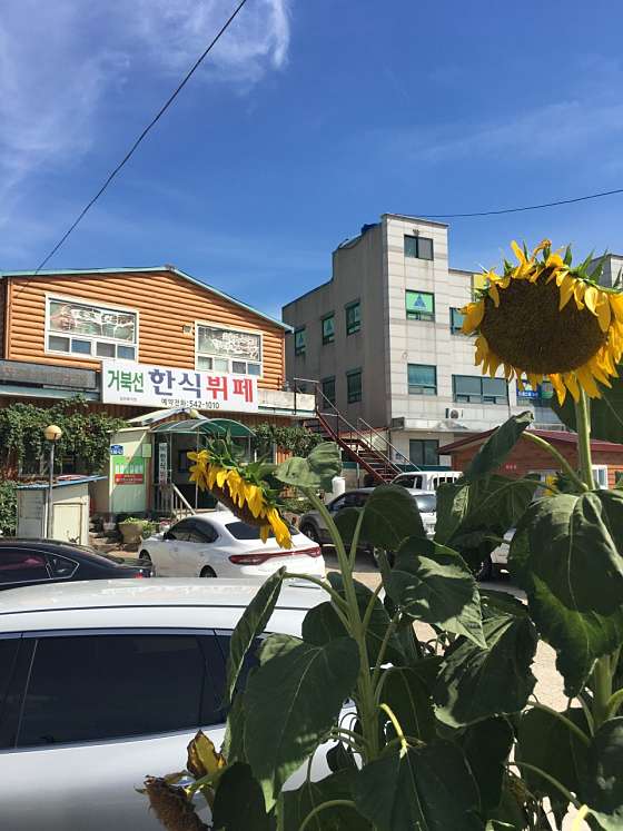 신안한식부페 이미지