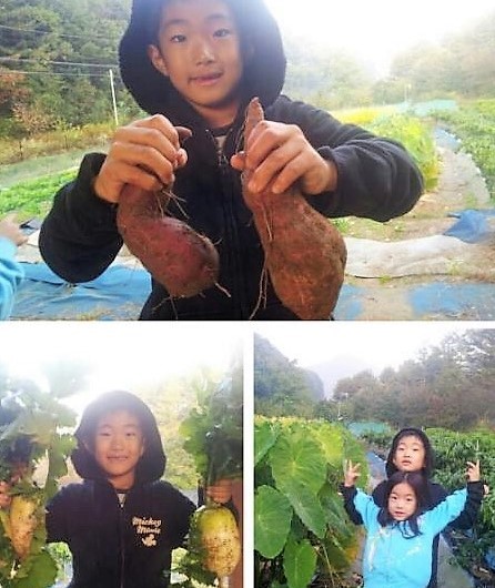 어벤지스 이미지