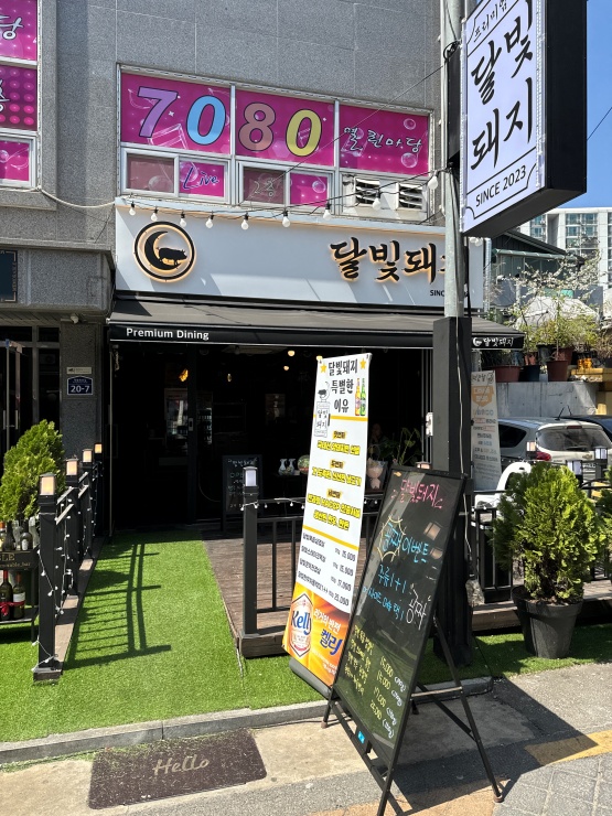 달빛돼지 이미지