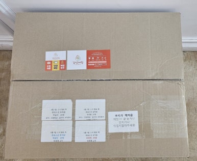 돈보스코유치원 이미지