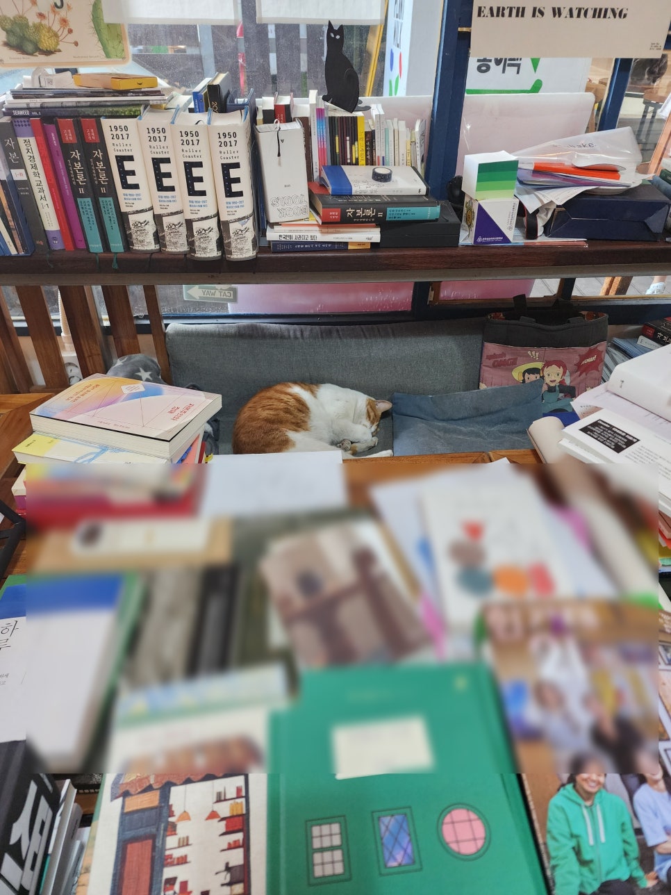 책방초록고양이 이미지