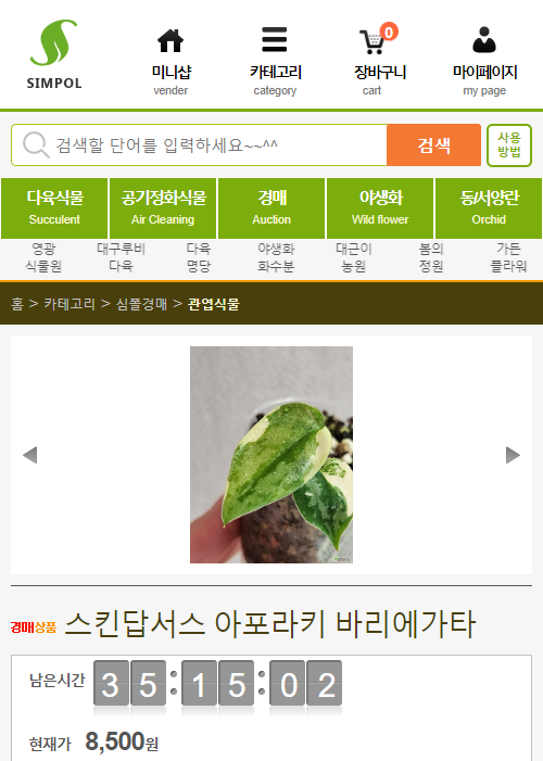 묘한정원 이미지