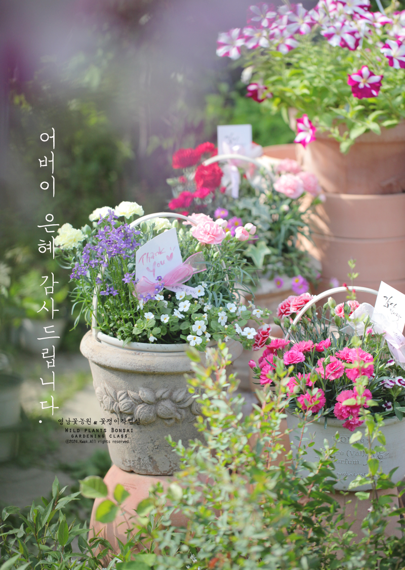 영남화분 이미지