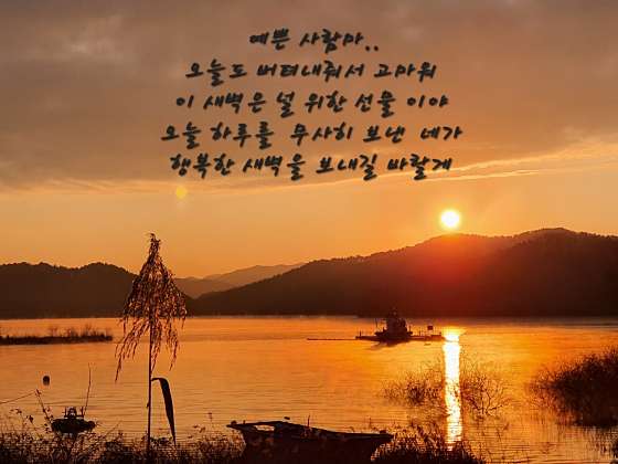아마떼 이미지