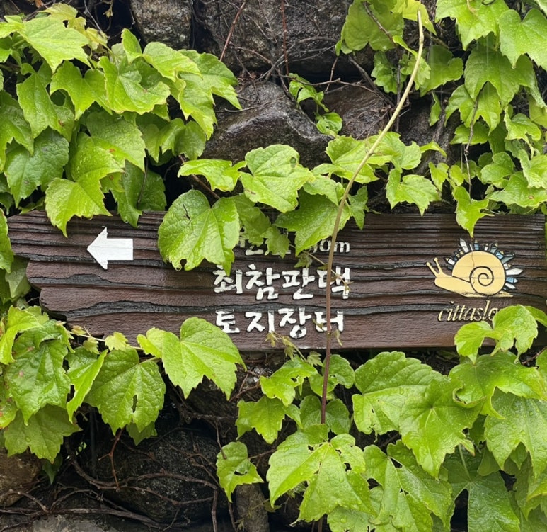 평사리 토지장터주막 이미지