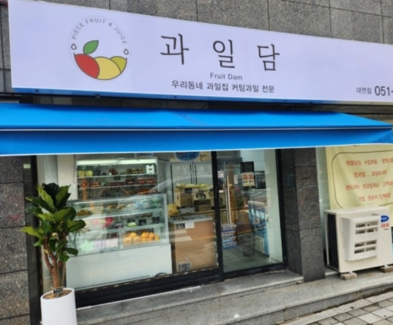 담모찌 이미지