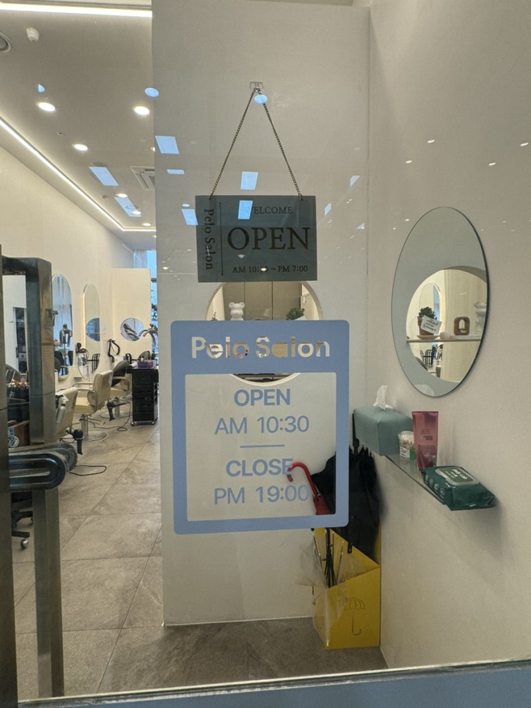 펠로살롱 이미지