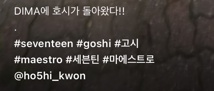마에스트로박 이미지