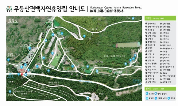 편백숲하우스 이미지