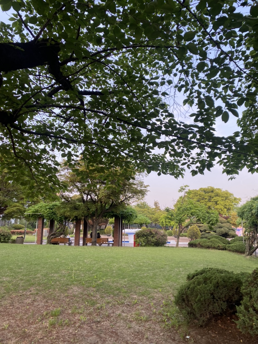 헤비머핀 이미지