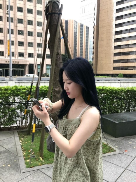 디페드 이미지