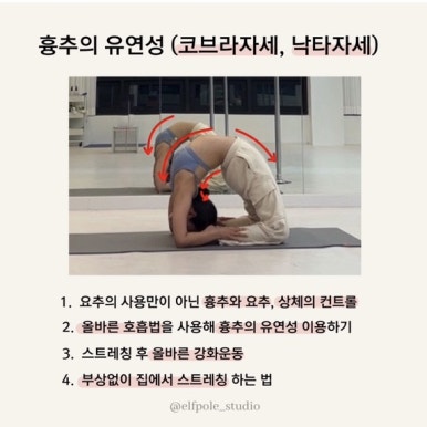 엘프폴스튜디오 이미지