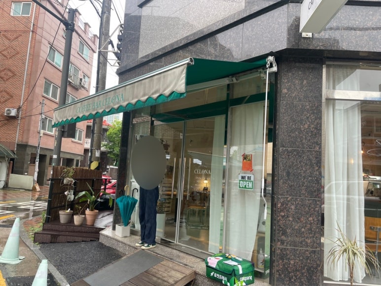 셀로나(Celona) 이미지