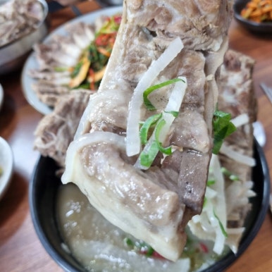 용두주 이미지