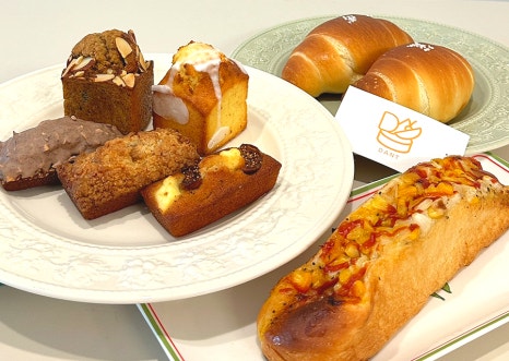 단트(DANT) 이미지