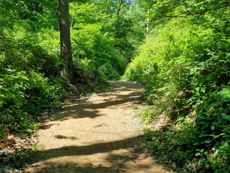 앞산고산골 유아숲체험원 이미지