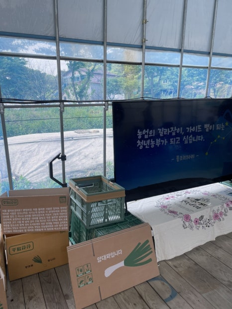물조리자리 이미지
