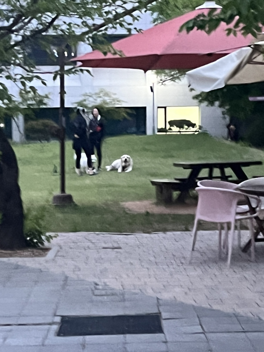 와이스타브청량리 이미지