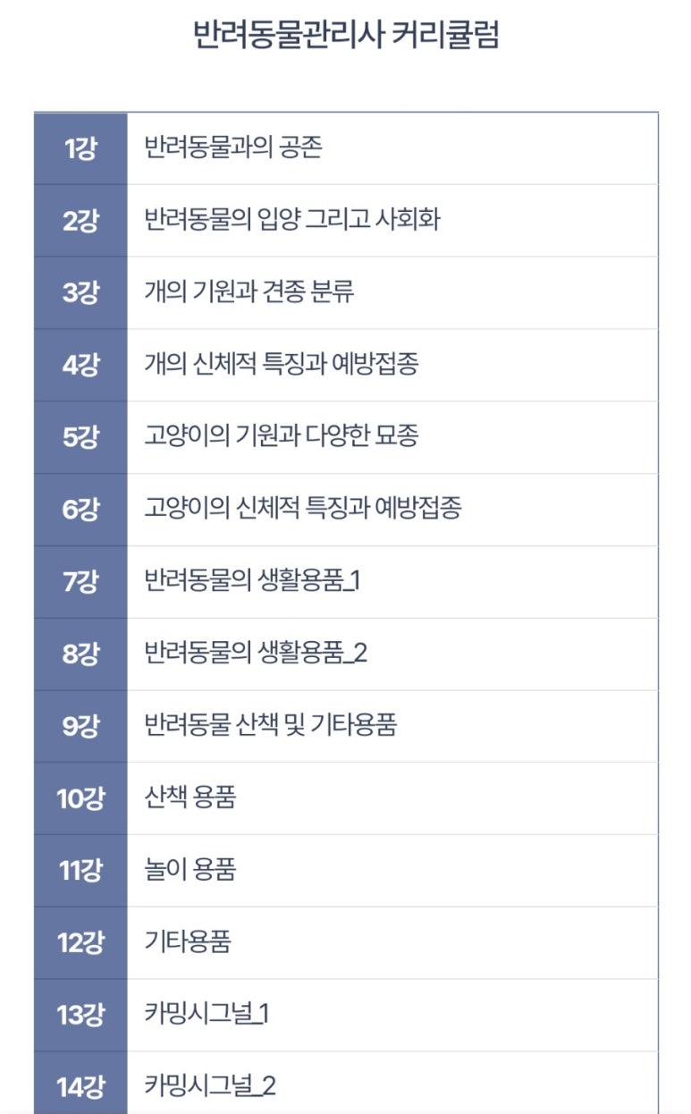 한국자격검정진흥원 이미지