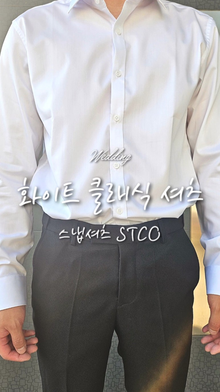 STCO제주 이미지